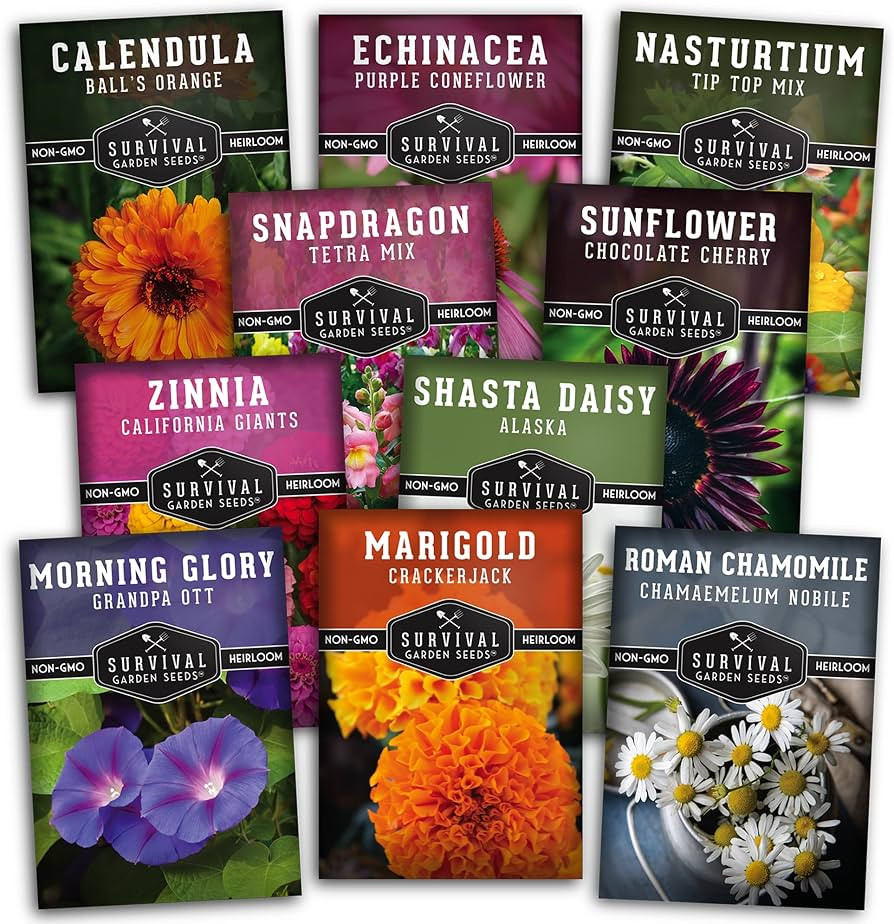 Survival Garden Seeds 10 Flower Collection - Calendula, Chamomile, Shasta Daisy, Echinacea (Conef... | Amazon (US)