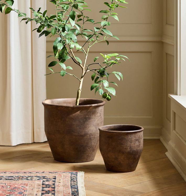 Antique Terracotta Planters | Rejuvenation