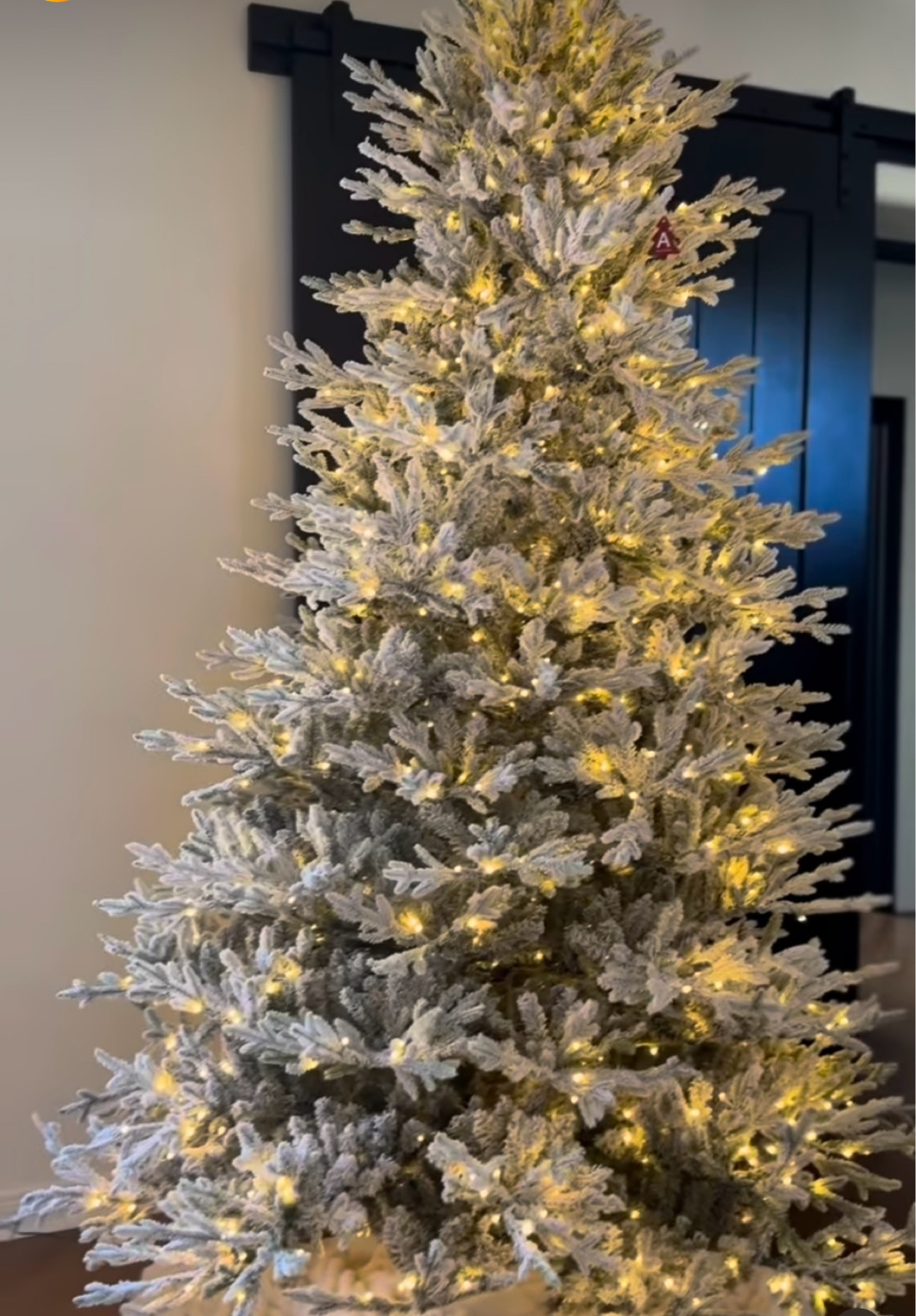 I literally had to buy this today!!! #primebigdealdays

#LTKSeasonal #LTKHoliday #LTKxPrimeDay