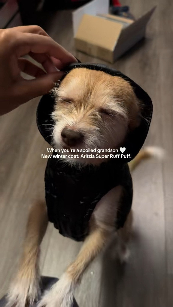 Because we gotta make sure the fur babies are warm too 🥹🥰

This coat is so adorable & also true to size. Just make sure to measure your baby before buying! 



#LTKPets #LTKFindsUnder100