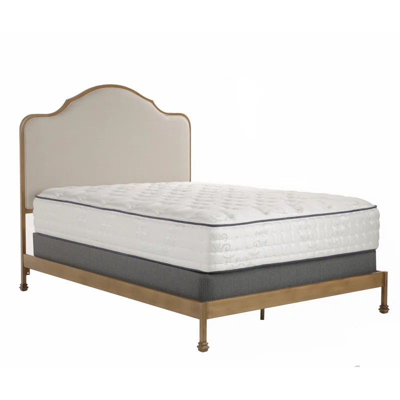 One Allium Way® Low Profile Standard Bed & Reviews | Wayfair | Wayfair North America