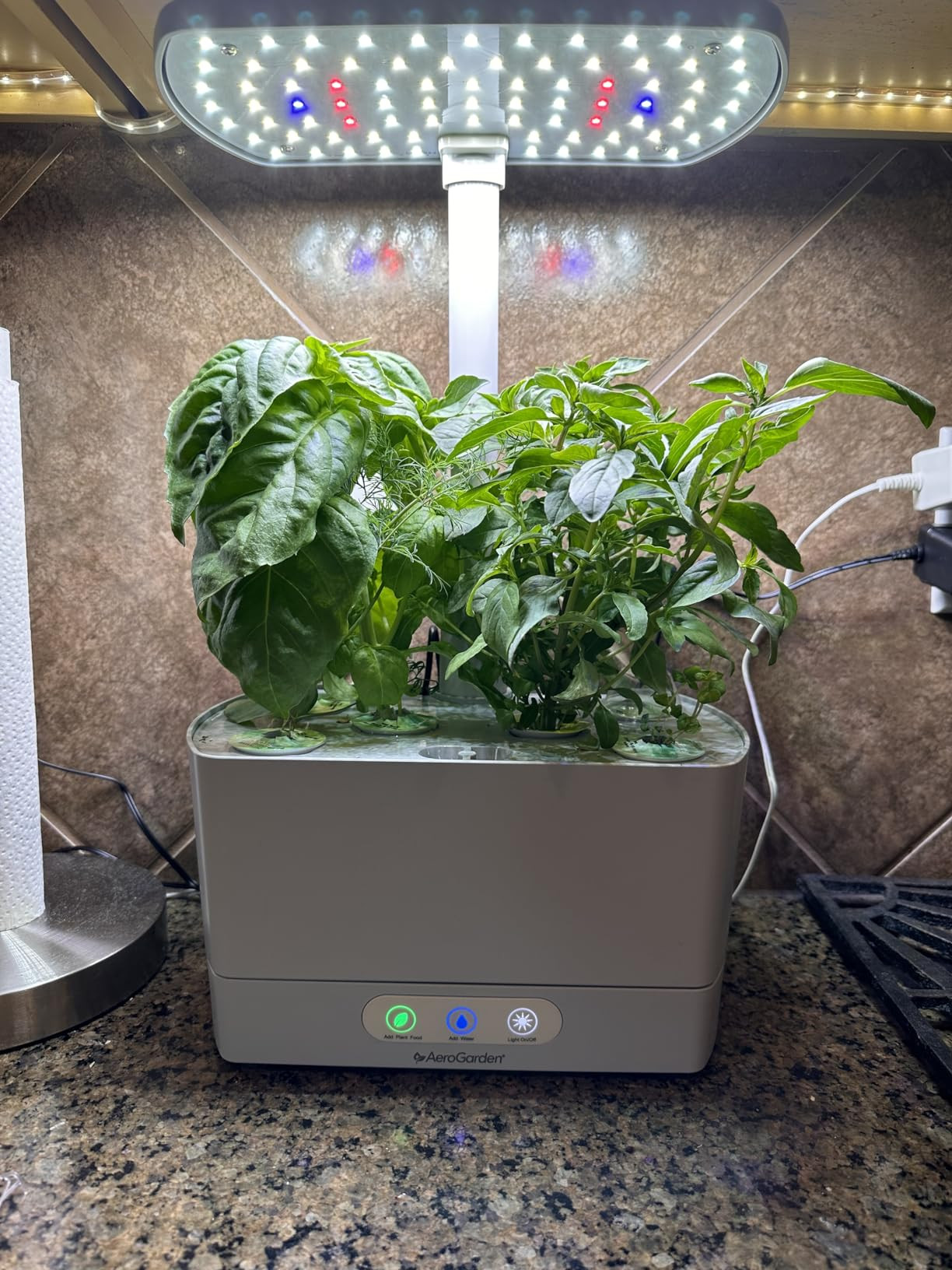 AeroGarden Harvest with Gourmet Herb Seed Pod Kit - Hydroponic Indoor Garden, Black | Amazon (US)