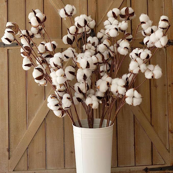 idyllic Pack of 6 Cotton Stems - 31 Inches Tall - 12 Cotton Bolls Per Stem Real Elastic Cotton St... | Amazon (US)