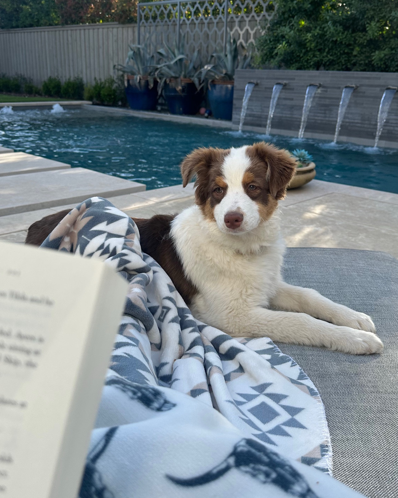 I'm spending my happy hour with the pups and enjoying this Dallas weather. Clear skies, a tad cold breeze, my yummy frozen cocktail made by my man, my cozy Wrangler blanket, and my new favorite series of books! I'm on the second one, What Happens in Paradise, by Elin Hilderbrand. ☀️🦋💛

#LTKHome #LTKFamily #LTKPets