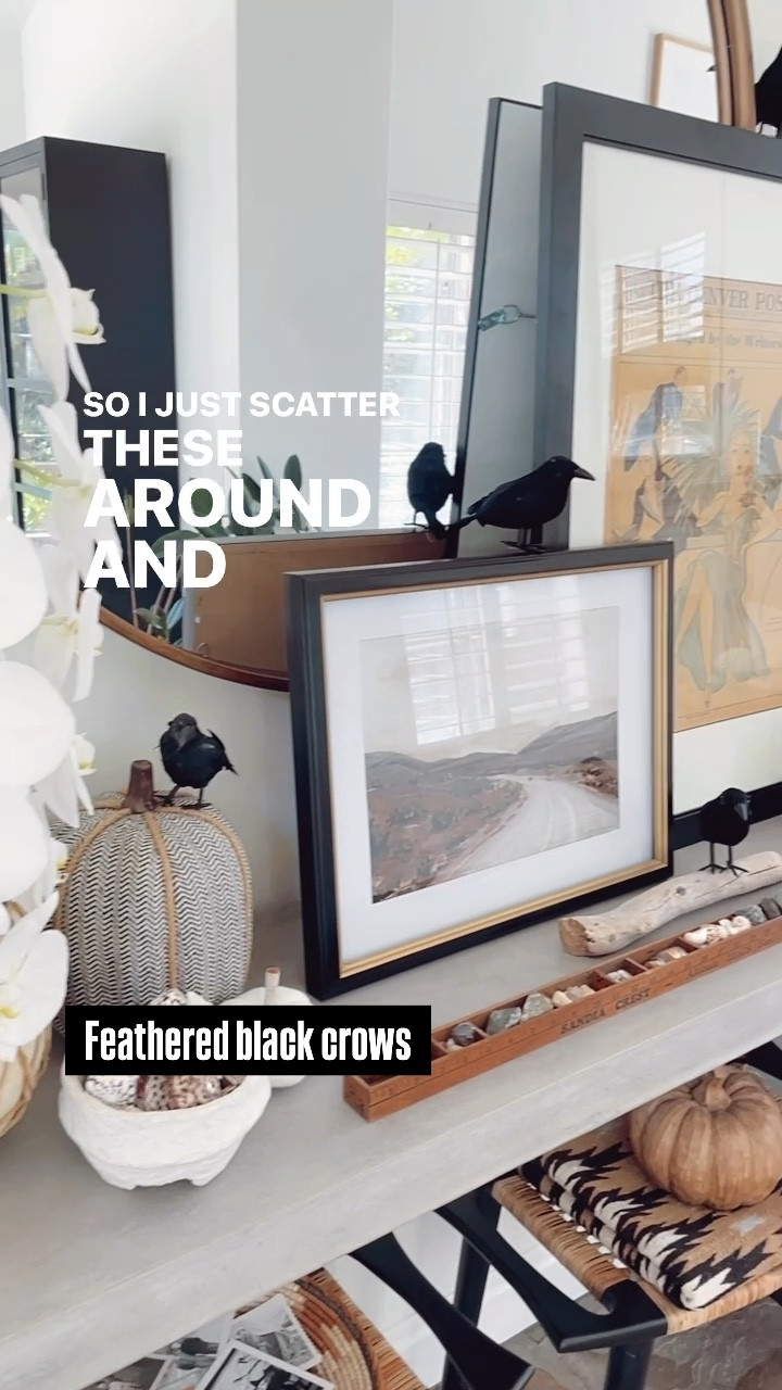 These realistic looking feathered black crows come in a pack of 6 for $14.99 on Amazon. 

A fun and inexpensive way to add a little Halloween decor! 

#blackcrown #halloweendecor

#LTKHome #LTKHalloween #LTKVideo