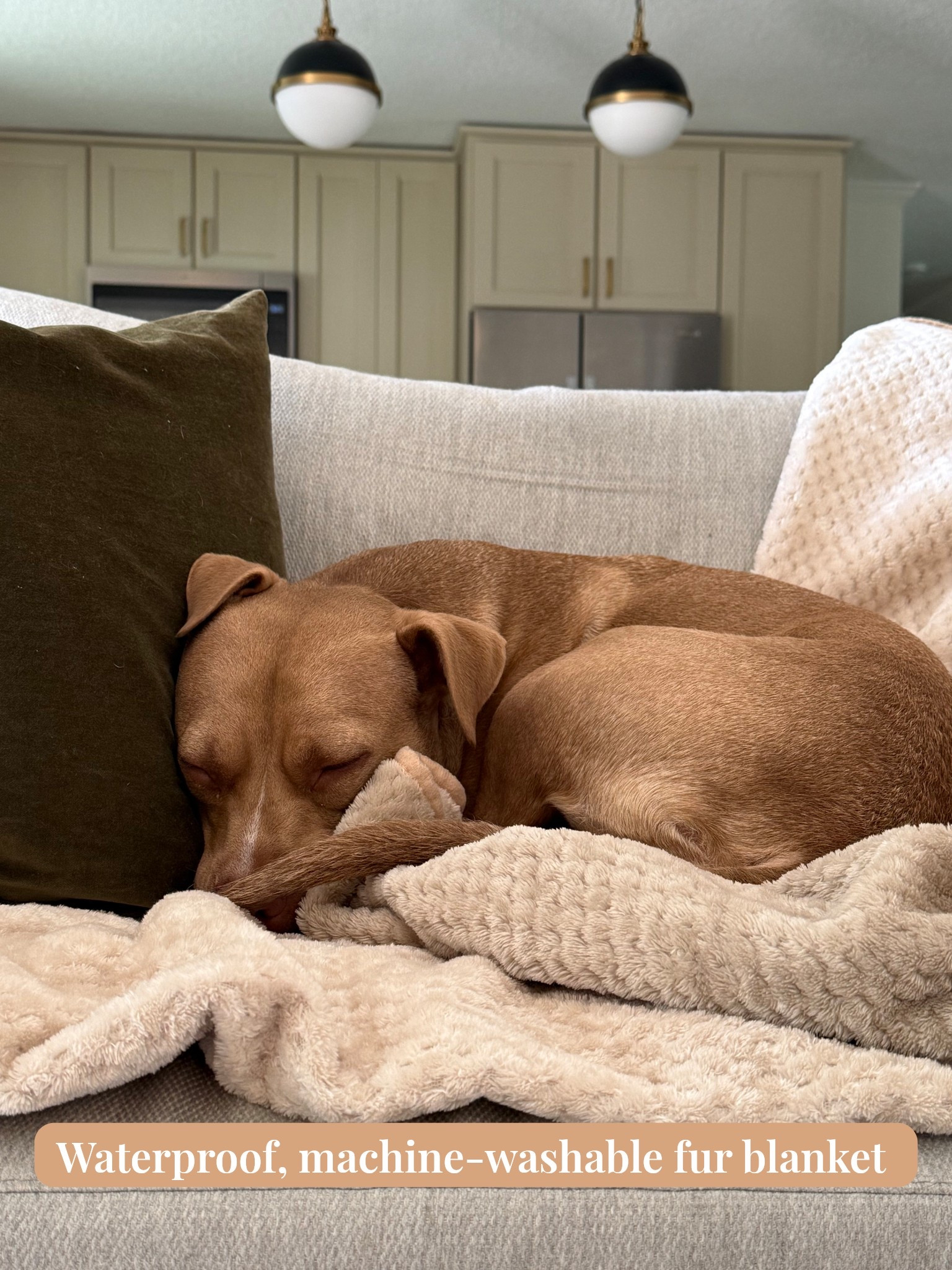 A best-seller! And must-have for all pet owners! Waterproof machine washable faux fur blanket. Reversible  dog blanket couch protector 

#LTKFindsUnder50 #LTKHome