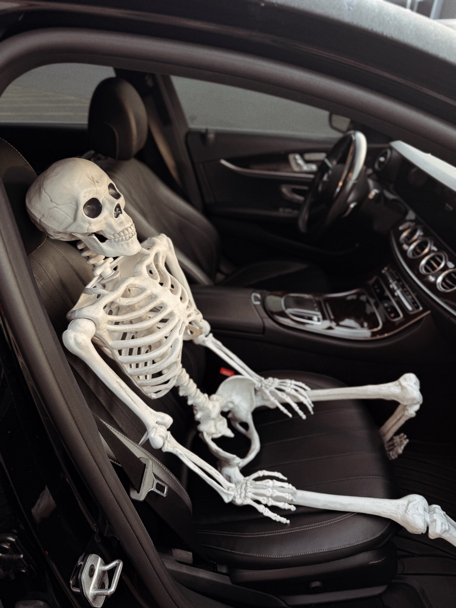 My passenger princess on the way home from the storage unit today 

Love these posable skeletons from target 

Target Halloween, Halloween decor

#LTKSeasonal #LTKHome