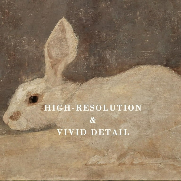 Vintage Wall Art Decor Classical Swan Canvas Prints Farmhouse Wall Decor Rustic Watercolor Swan V... | Walmart (US)