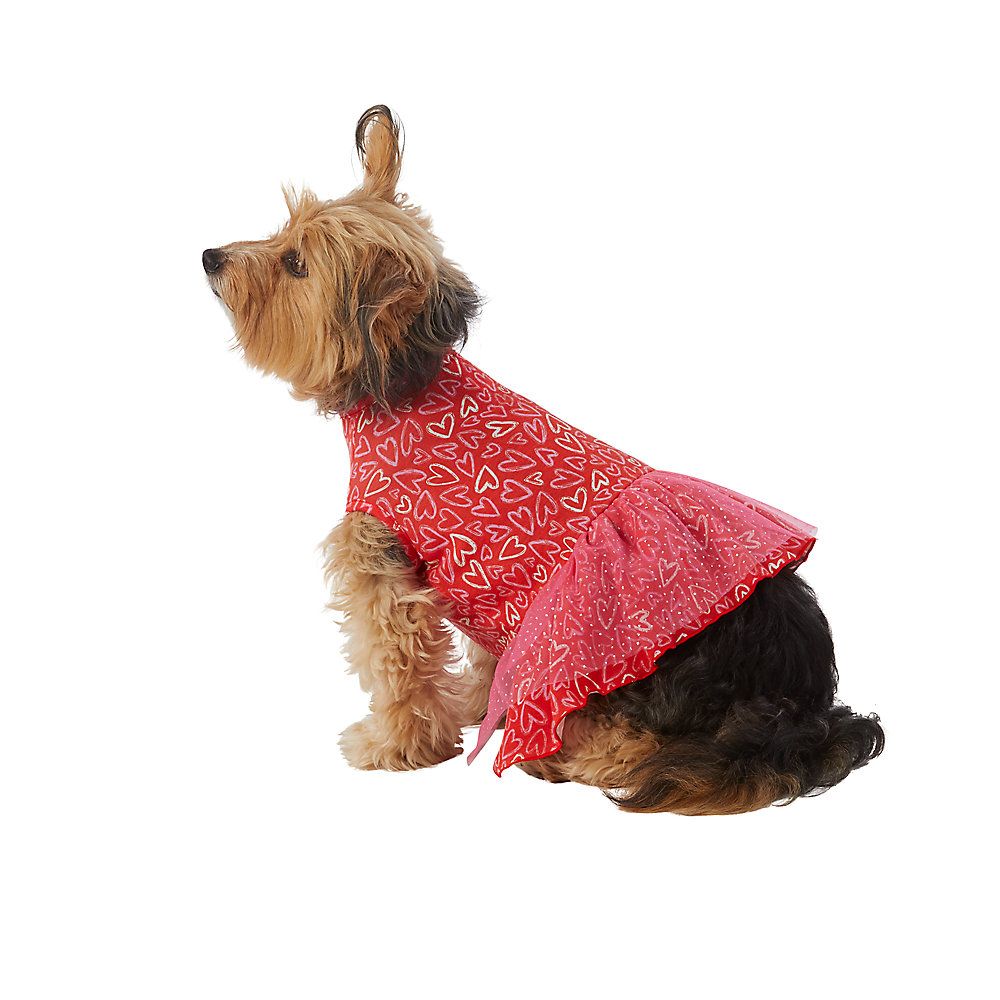 Top Paw® Valentine's Day Tulle Dog Dress | PetSmart