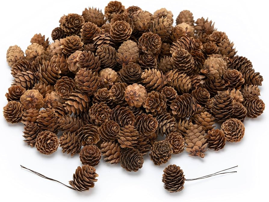 84 Pcs Natural Mini Pine Cone Kit with Brown Iron Wires for DIY - 0.6"-1.2" Small Pinecones Ornam... | Amazon (US)