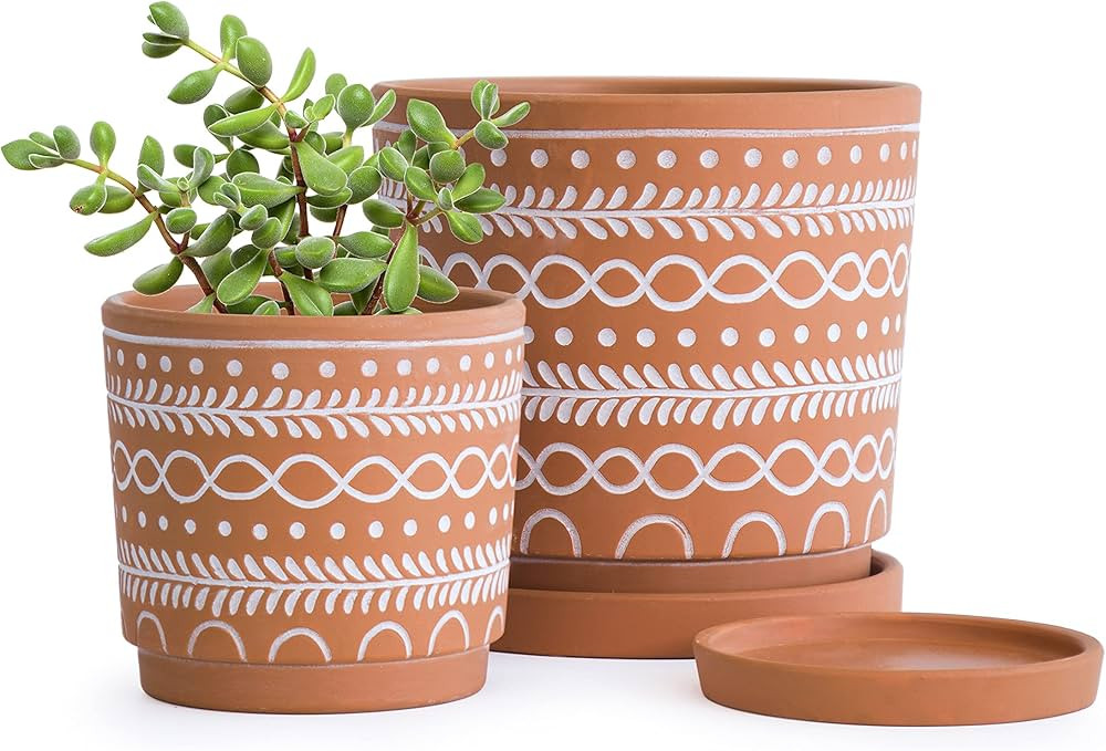 D'vine Dev Set of 2 Terracotta Pots, 4 Inch & 6 Inch, Planter Pots for Plants with Drainage Holes... | Amazon (US)