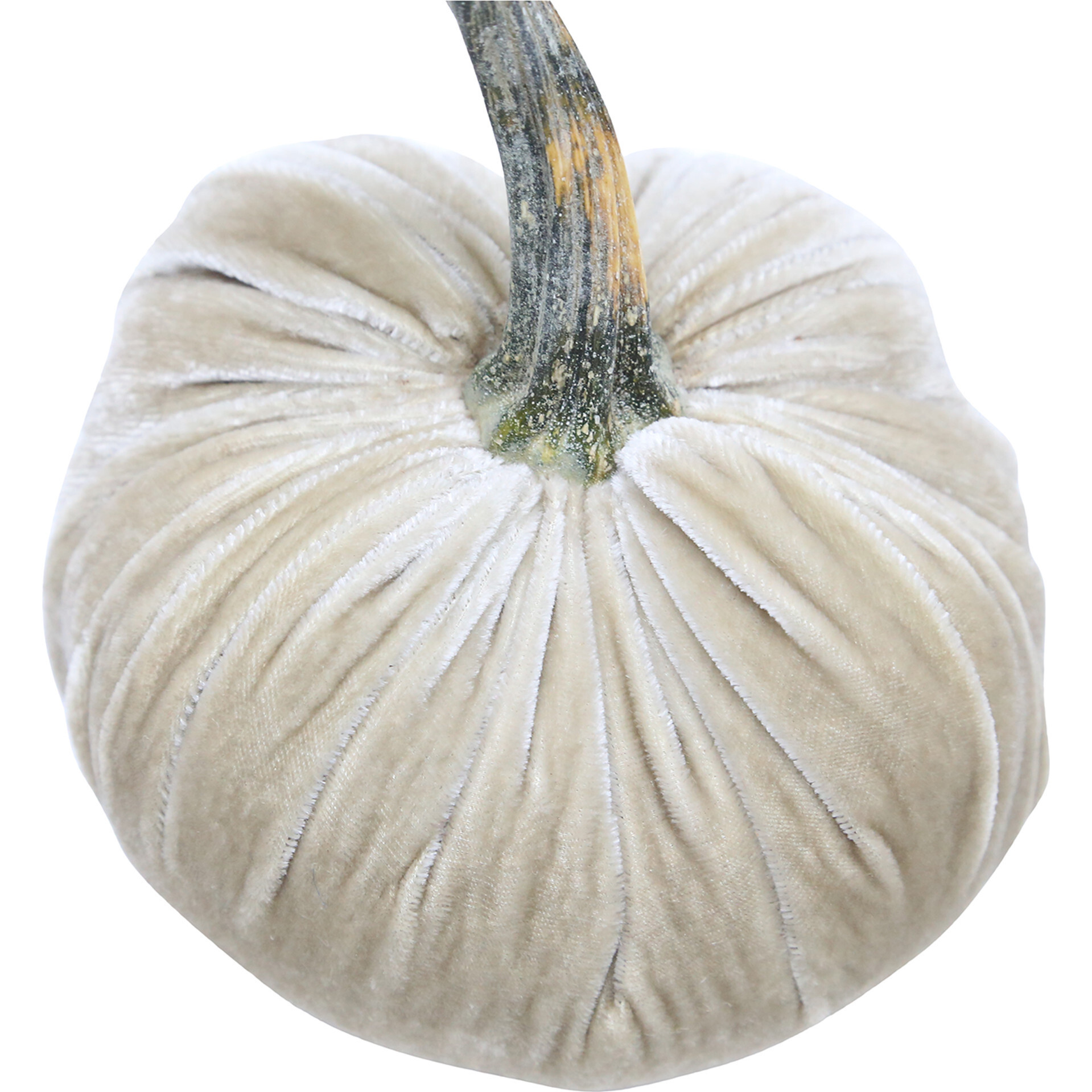 Velvet Pumpkin, Bone | Maisonette
