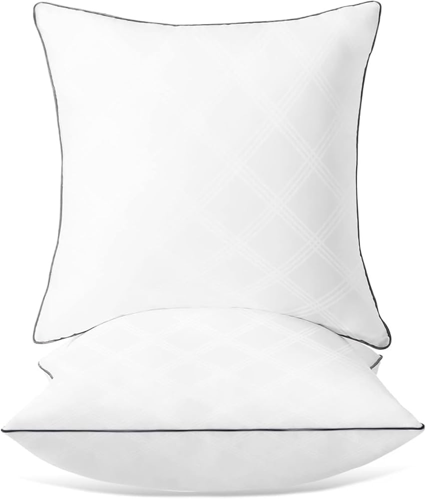 SASTTIE 24 x 24 Inches 2 Pack Throw Pillow Inserts, 100% Microfiber Cover for Couch, Sofa, Living... | Amazon (CA)