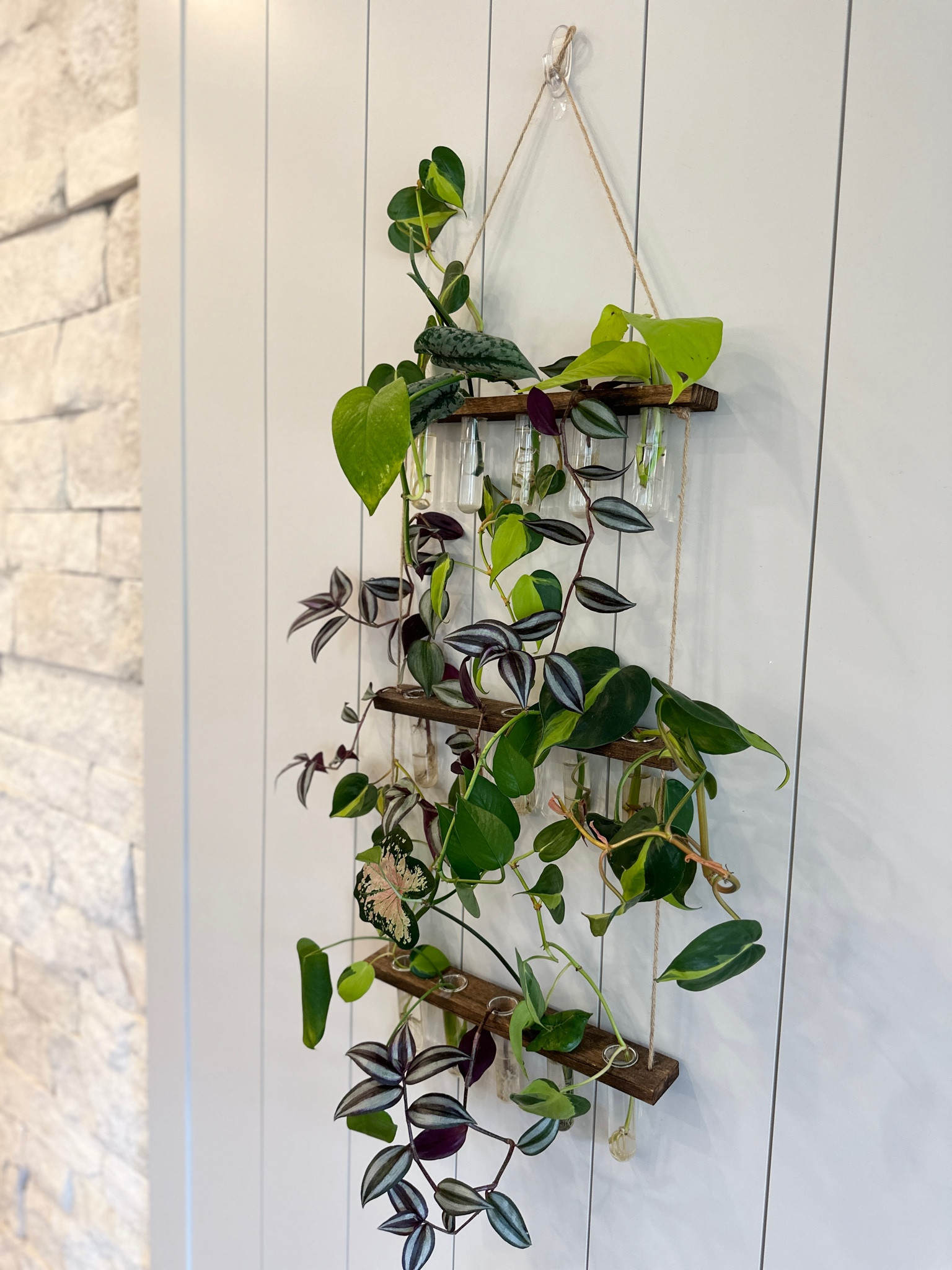 I love this 3 tier plant propagation station. I placed it near a window and it looks so pretty! It’s great for setting up multiple props at once without taking up a ton of space! 

#LTKHome