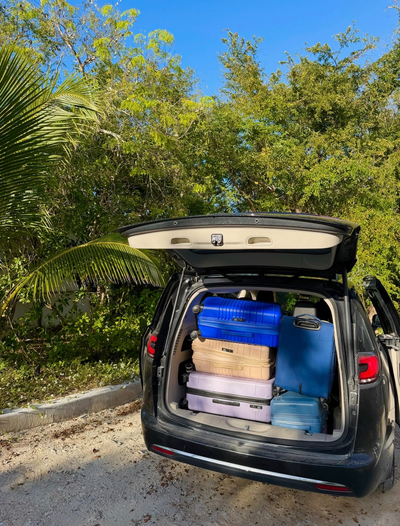 Our luggage is from @beistravel @CALPAK 🌴🫐

#LTKSeasonal #LTKgrwm #LTKBump