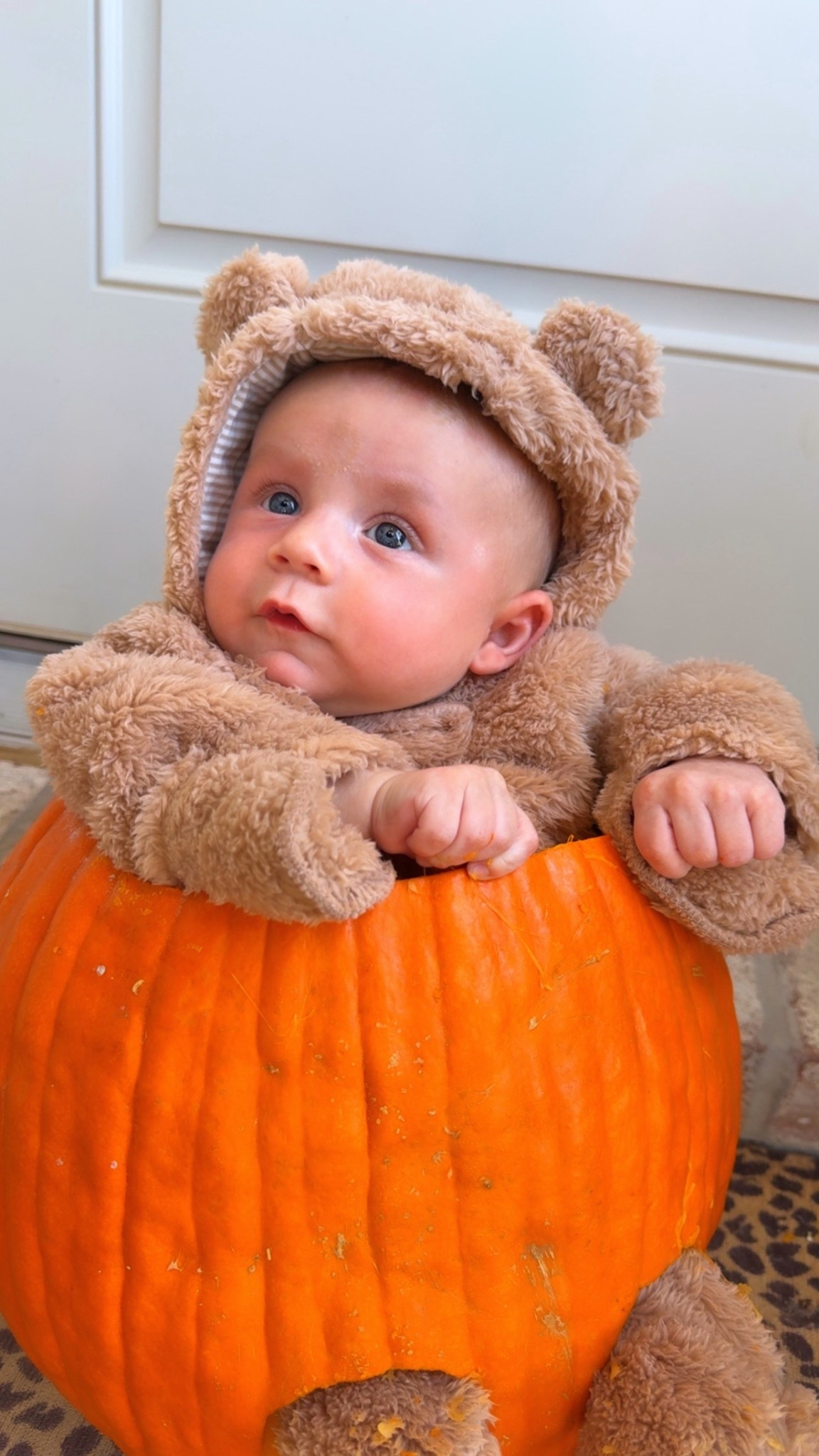 Teddy onsie linked 🧸 

#LTKHalloween #LTKSeasonal #LTKBaby