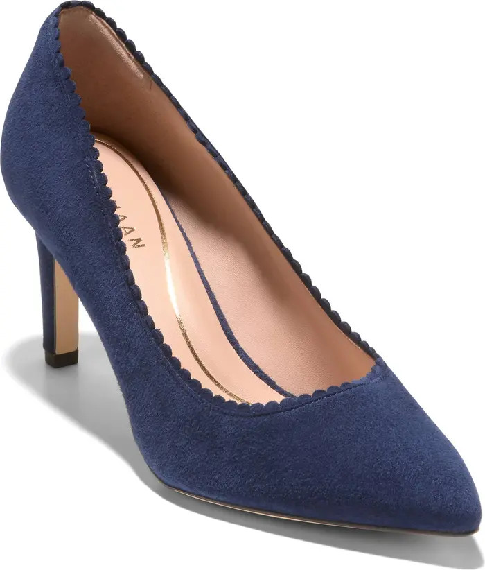 Bellport Pointed Toe Pump (Women) | Nordstrom