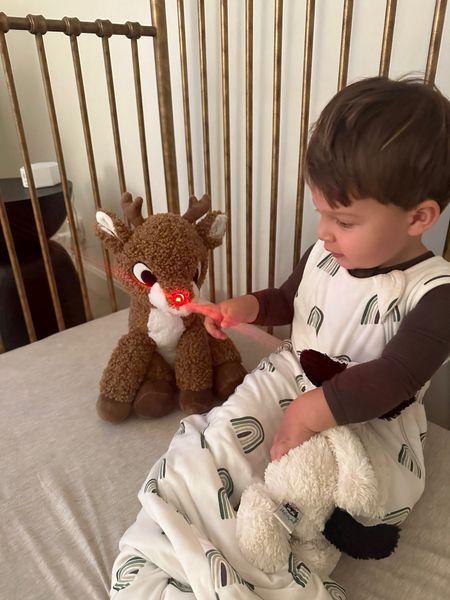 Rudolf stuffed animal with light up nose - Toddler Christmas toys - toddler pajamas

#LTKkids #LTKHoliday