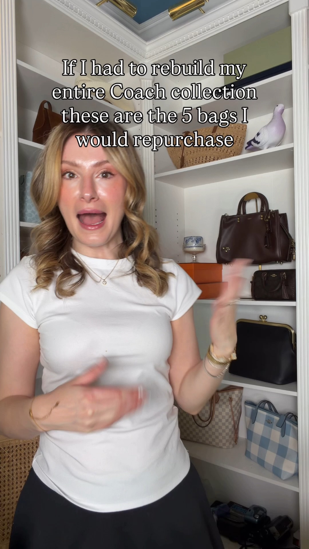 If I had to start my Coach collection over, these are the 5 bags I would start with! 

Coach Chelsea 30
Coach outlet city tote
Coach Tabby 26 or smaller
Coach Brooklyn 28
But the very first one I would get may surprise you!