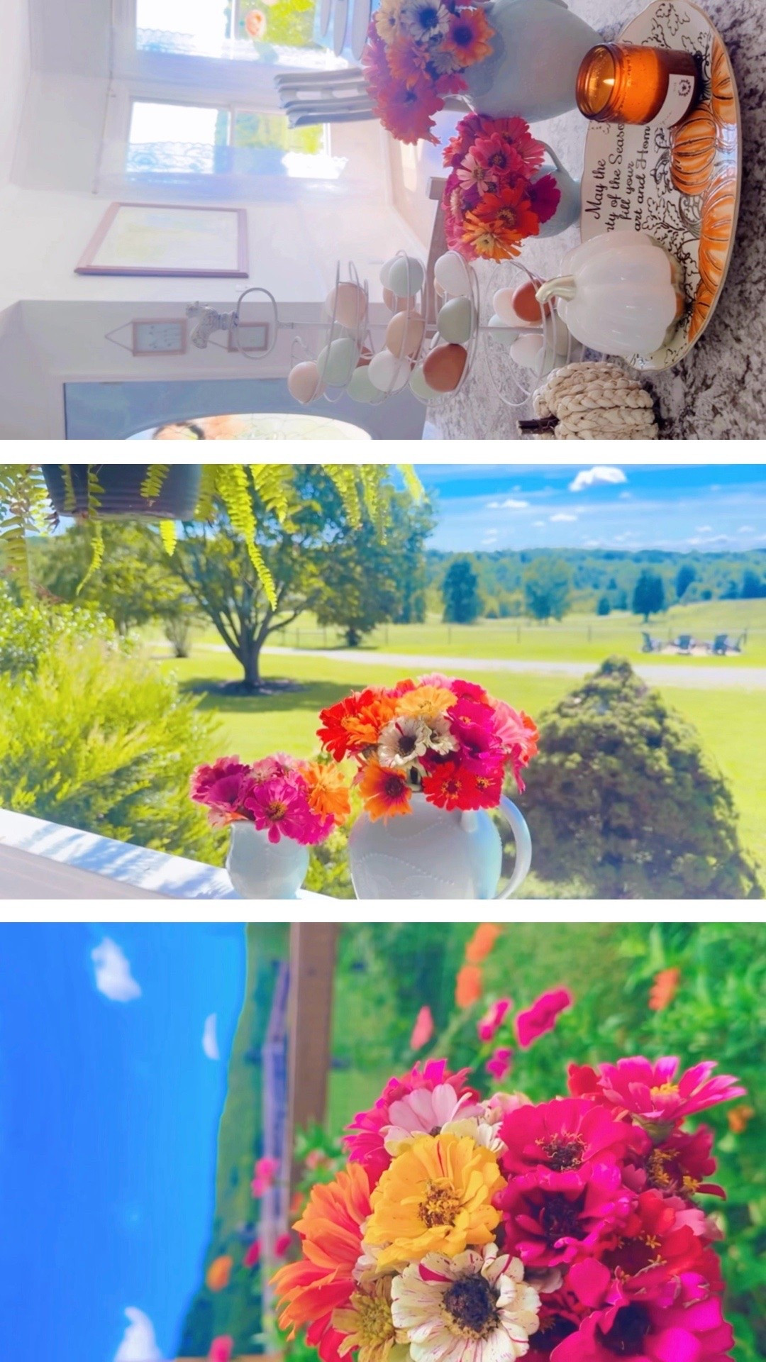a  s w e e t  s e p t e m b e r  w e e k e n d ☕️💐🌼🎃🧺🌾🫙🎂🪴🌞🏗️🌸🍂☀️🎈🫶🏽👶🏼🧋🤠👷🔨🧡🚧 #weekendslikethis #sweetseptember #weekendrecap #septemberweekends #smalltownweekend 

Started with a slow overcast saturday mornin’ ☕️🖍️around here with these lil’ cuties 👶🏼🥰 - and look at all those beautiful 🤩 eggs 🥚 from our happy girlies!!! 🐓Saturdays 💐 in the garden 🪴 with my littles 👶🏼🤠 and playing in the hose as a “sprinkler” 💦 as we water our newly planted 🌱 fall garden 🪏 - these are the days!! 🏈🤎 And we had the best time celebrating at their friends’ adorable construction 👷🔨🏗️🚧 birthday 🎂 party yesterday!! 🥳 Such an adorable theme 🫶🏽 👷😉🚧🔨🧱🏗️ And these cutie pies wore those party favor construction hats 👷 in the bathtub 🛁, too - I mean, cuteness overload!! 🤭😍

This beautiful september sunday mornin’ called for a pumpkin 🎃 cold brew 🧋and hedgehog 🦔 (how adorable 🥰) cake 🧁 pops 😋 for the little ones!! 👶🏼😍 And gosh I love living way out in the country 🌾 with views like this!! 🐄 And I loved getting to pick some zinnias 💐 straight from the garden 🪴 before we get ready to host some sweet new local friends over to the farm 🧺 for a cookout 🍔🌭 this afternoon/evening!!! ☀️ Nothing better than some gorgeous afternoon sunshine 🌞, fresh flowers 🌼 , and friends 🫶🏽 to fill the farmhouse with!! 🏡🌾🫙🌸 Happy September Sunday, y’all!! 😍🍂