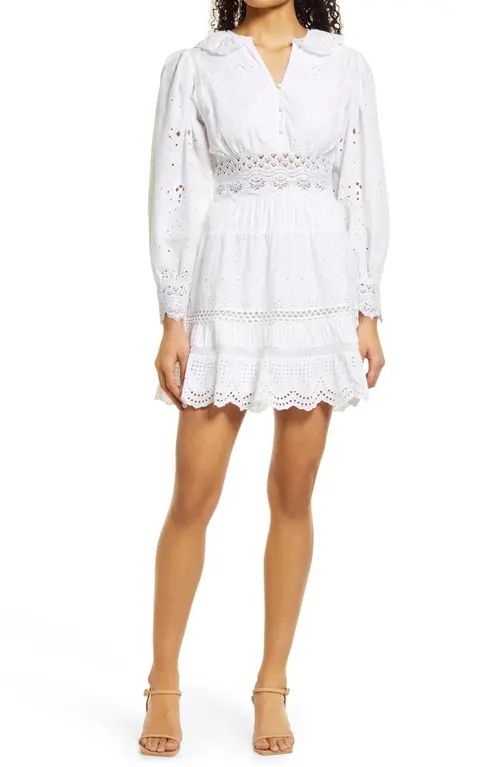 French Connection Broderie Long Sleeve Cotton Shirtdress in Linen White at Nordstrom, Size 4 | Nordstrom