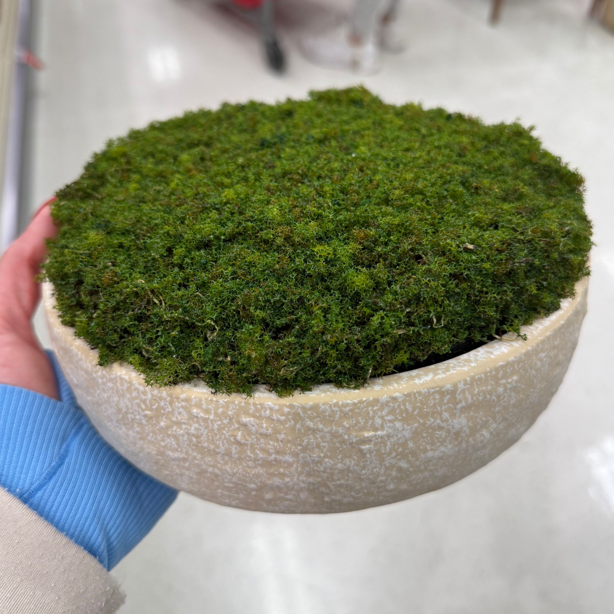 Decorative moss bowl
Coffee table decor
Home decor
Spring home decor

#LTKHome #LTKFindsUnder50
