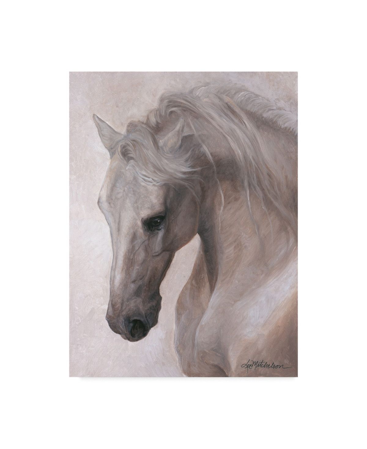 Lee Mitchelson 'Free Spirit White Horse' Canvas Art - 35" x 47 | Macys (US)