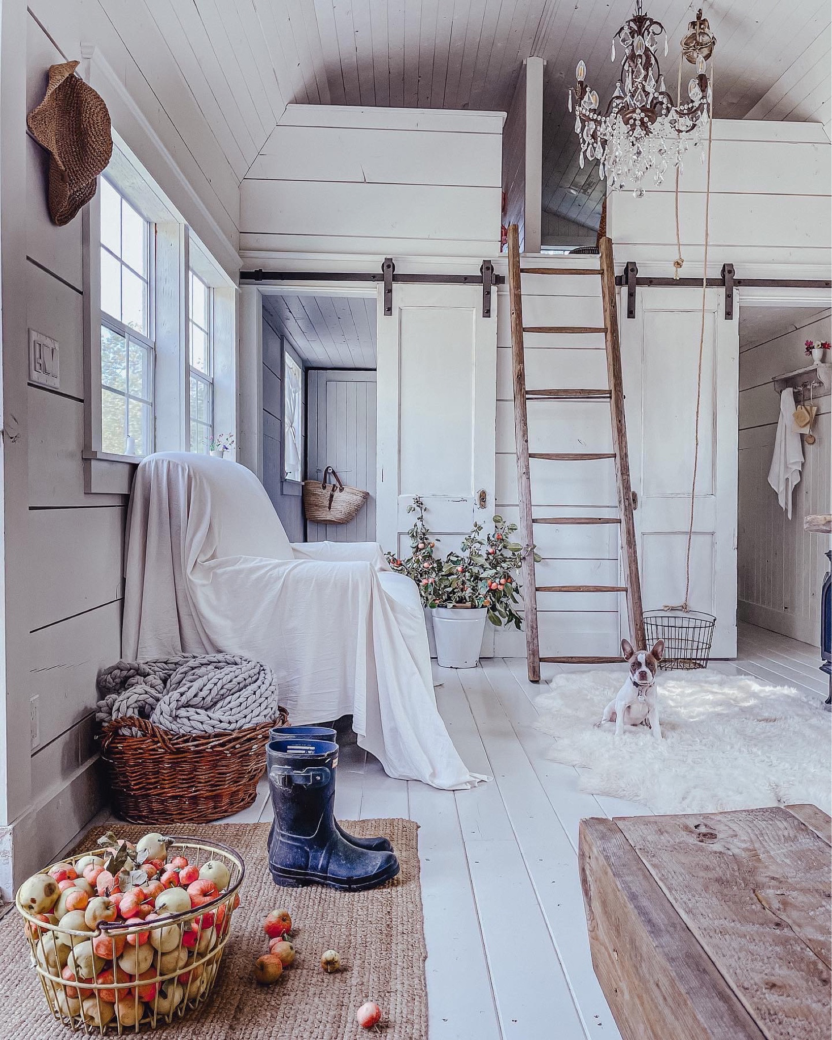 All the beautiful tiny house decor. 

#LTKhome #LTKfamily