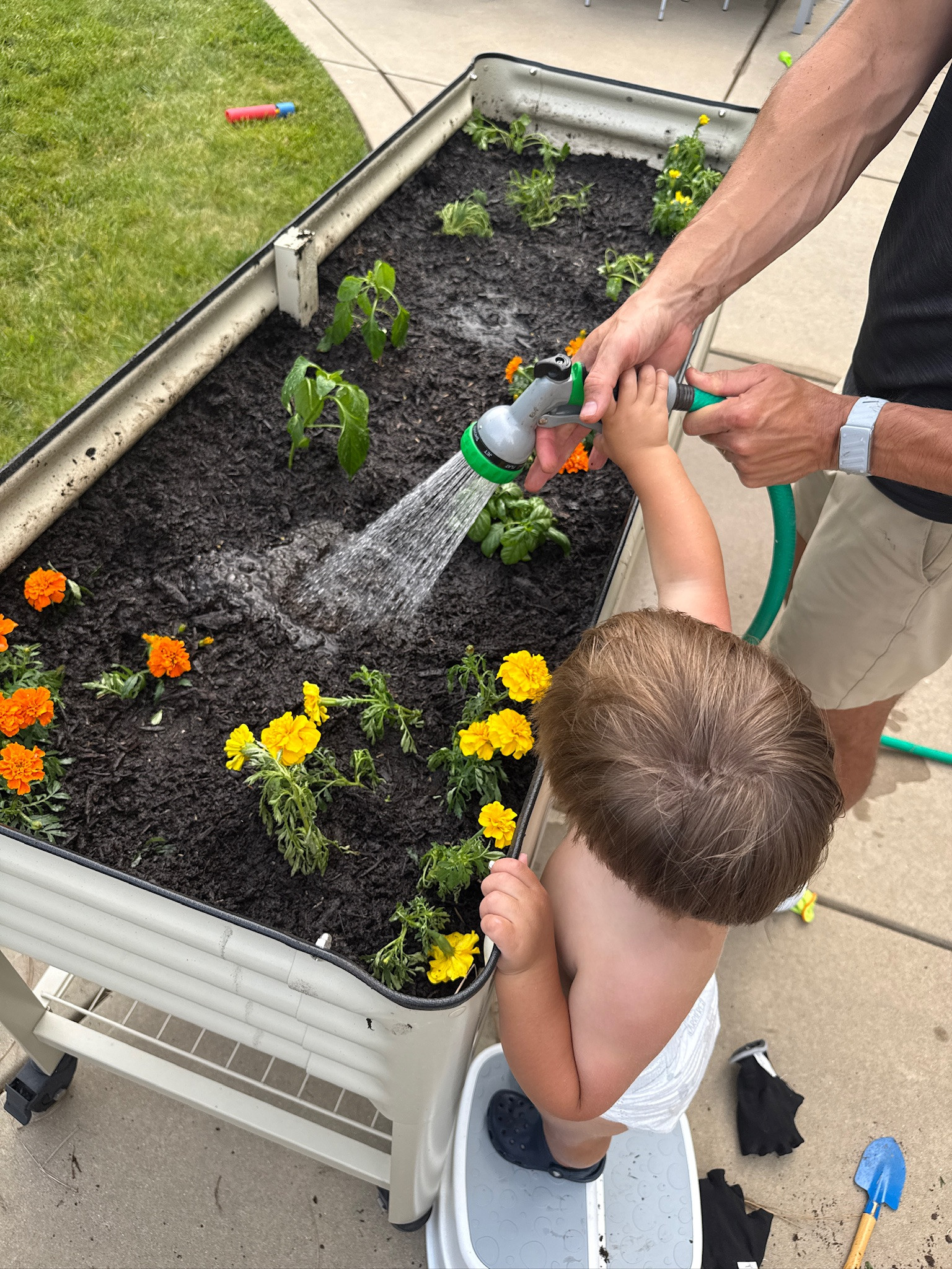 This garden bed is perfect for growing flowers and veggies with my little helper!

activities, summer activities, summer kids activities, garden bed, gardening, flowers, veggies, outdoor, Grace White

#LTKHome #LTKmomlife #LTKKids