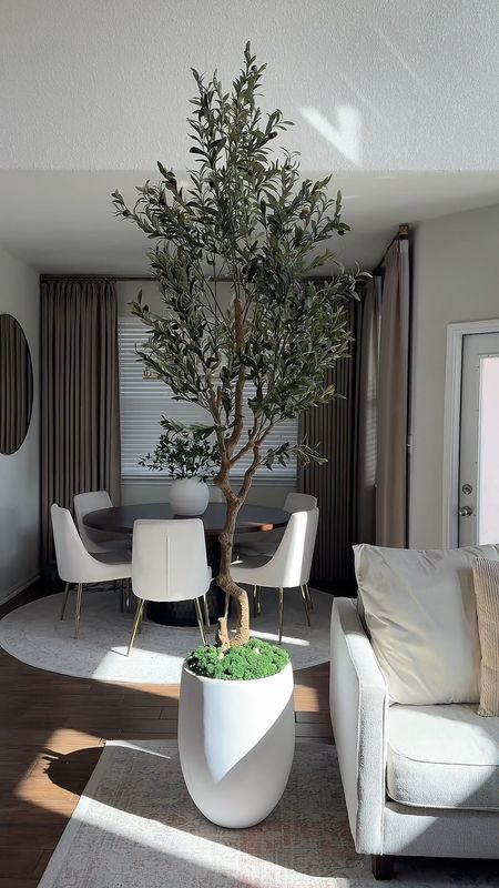 Amazon planter, olive tree and light 

#LTKhome #LTKVideo #LTKfindsunder50