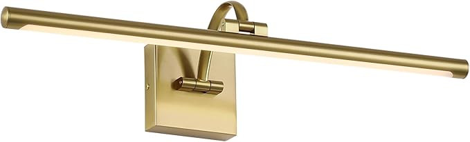 Brass Picture Lights LED Picture Frame Light 23.62 inch 14W Warm White | Amazon (US)