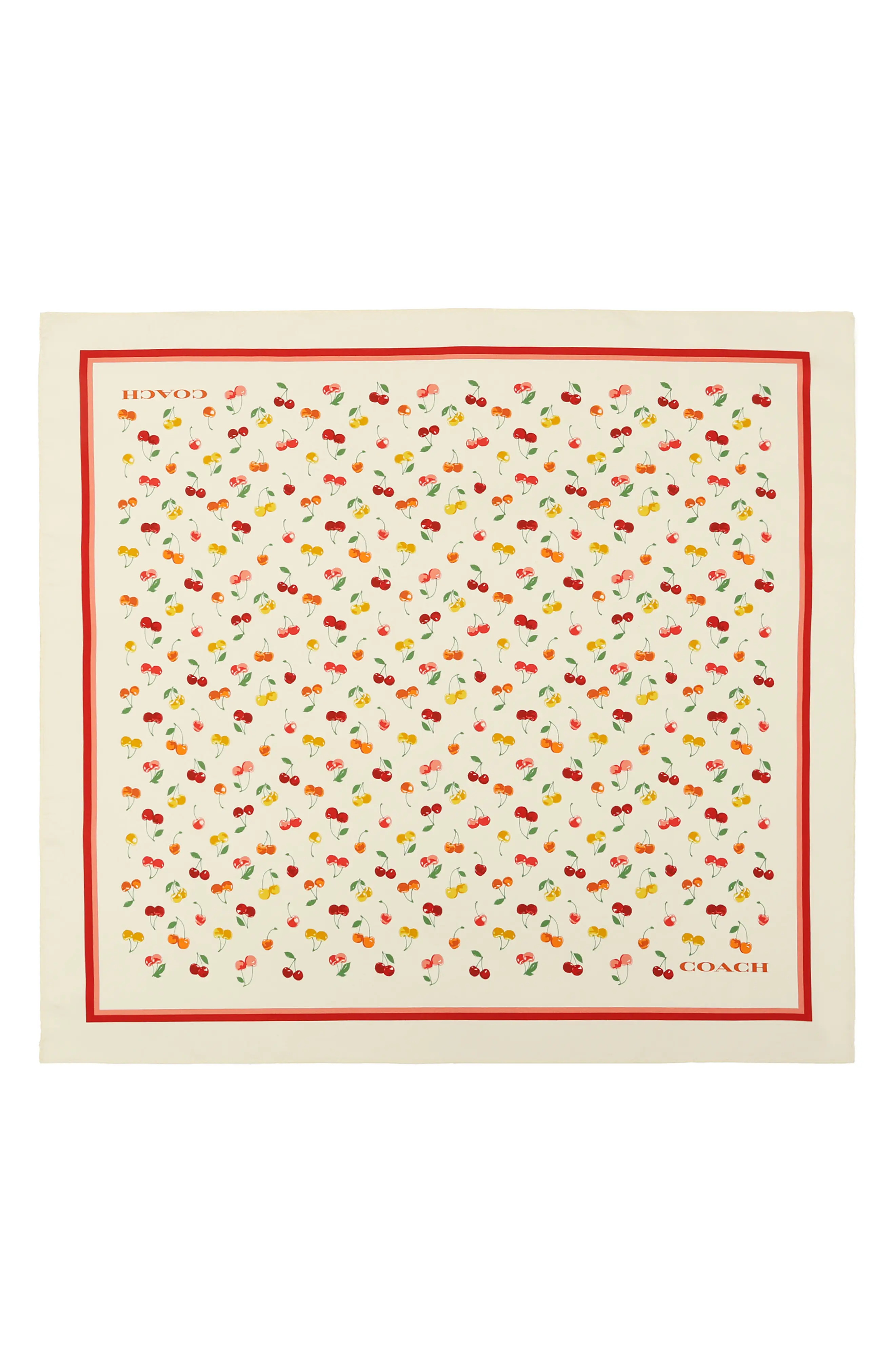 Cheery Mix Printed Silk Scarf (Women) | Nordstrom | Nordstrom