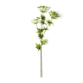 Light Green Queen Anne's Lace Spray by Ashland® | Michaels | Michaels Stores