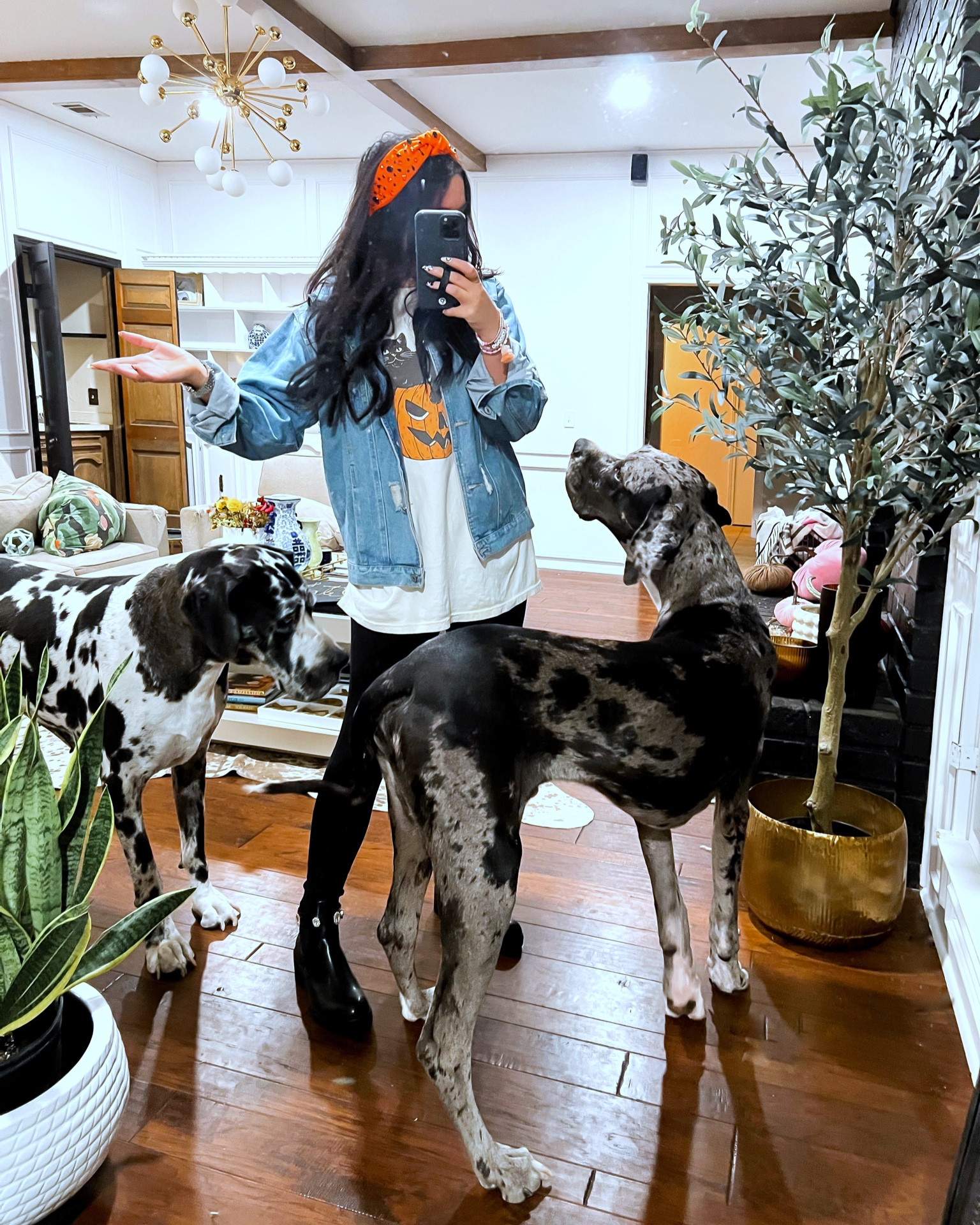 Tee // XL
Leggings // small
Jacket // medium
Boots // size up 

Teacher, classroom, Halloween, retro, 90, headband, fall

#LTKHalloween #LTKshoecrush #LTKSeasonal