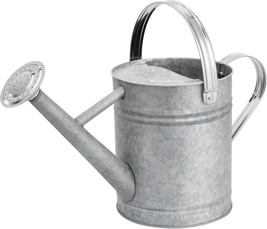1 Gallon Watering Can for Outdoor Plants，Premium Galvanized Steel Watering Can with Stainless S... | Amazon (US)