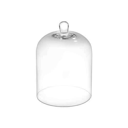 10" Tall Large Handmade Sturdy Glass Cloche, Dia 7.3" H 10.6", For Terrarium, Plants, Trinkets, Cakes, Figurines, LED Light String, Candle. Cloche Glass Dome, Bell Jar Display Case (1, 7.5 * 10.6") | Amazon (US)