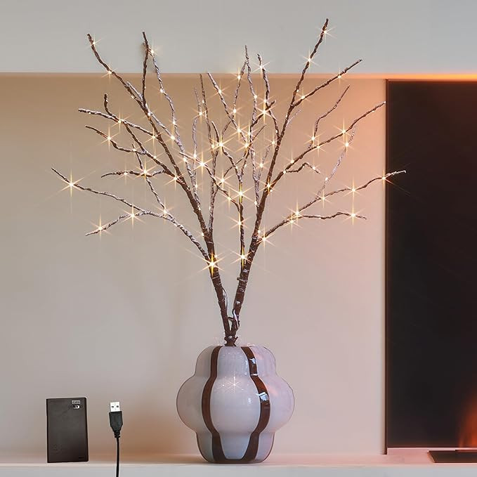 Hairui Lighted Willow Branches Snow Dusted Battery Operated with Timer, Tree Branch Lights 32IN 1... | Amazon (US)