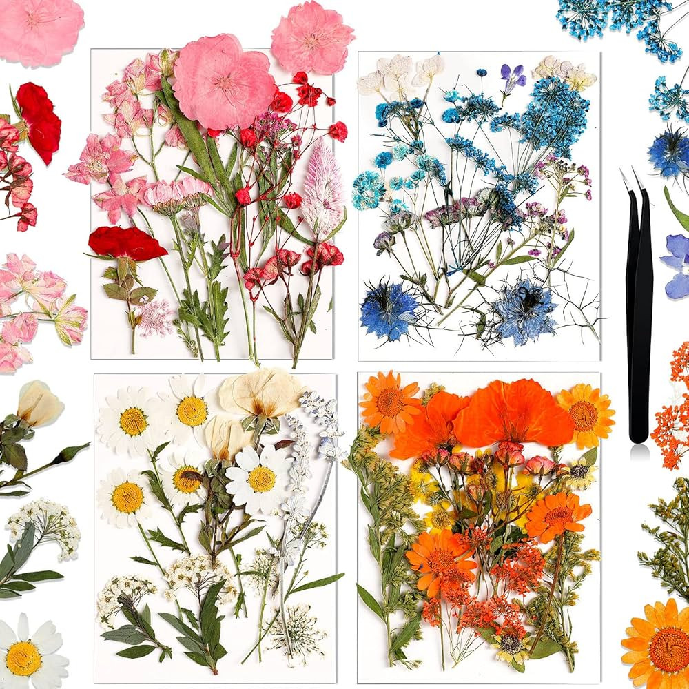 Pressed Flowers Resin Flowers for Resin Mold, Real Daisy Dried Flower Leaves Natural with Tweezer... | Amazon (US)