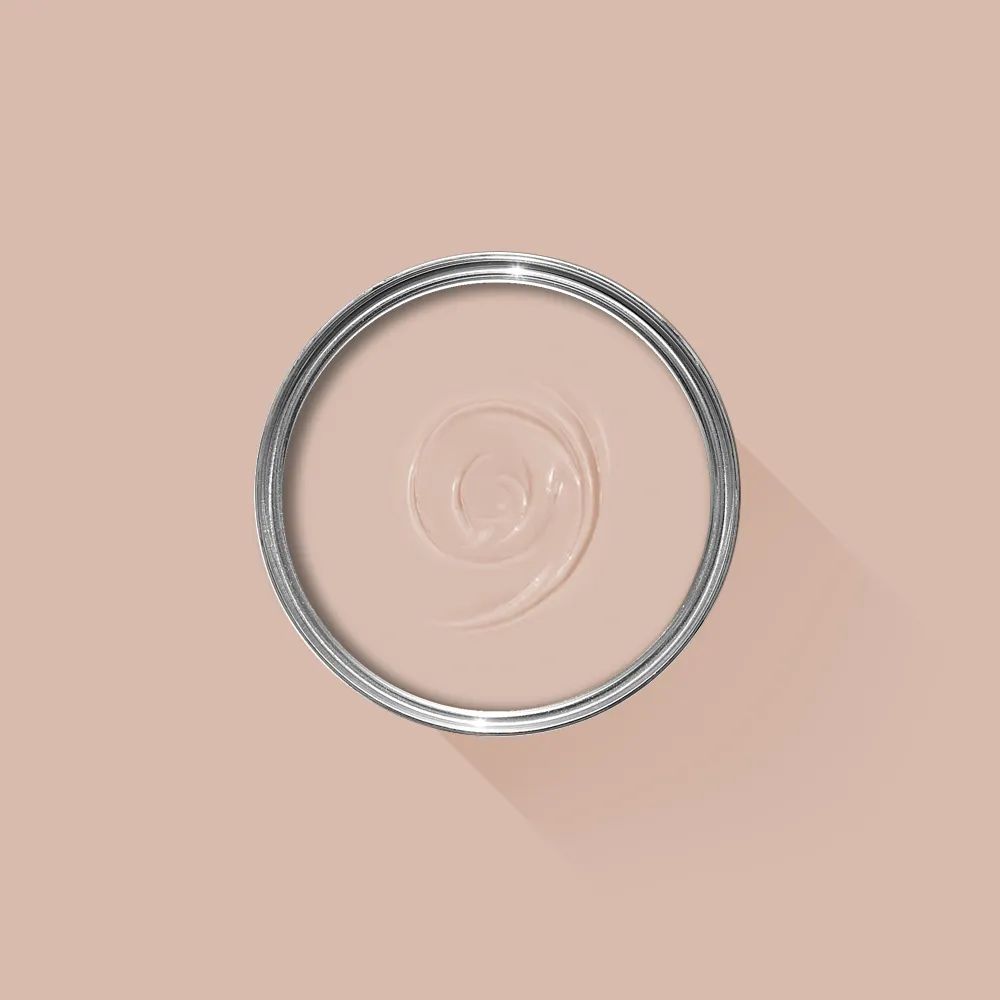 Pink Ground No.202 | Handcrafted Paint | Farrow & Ball (Global)