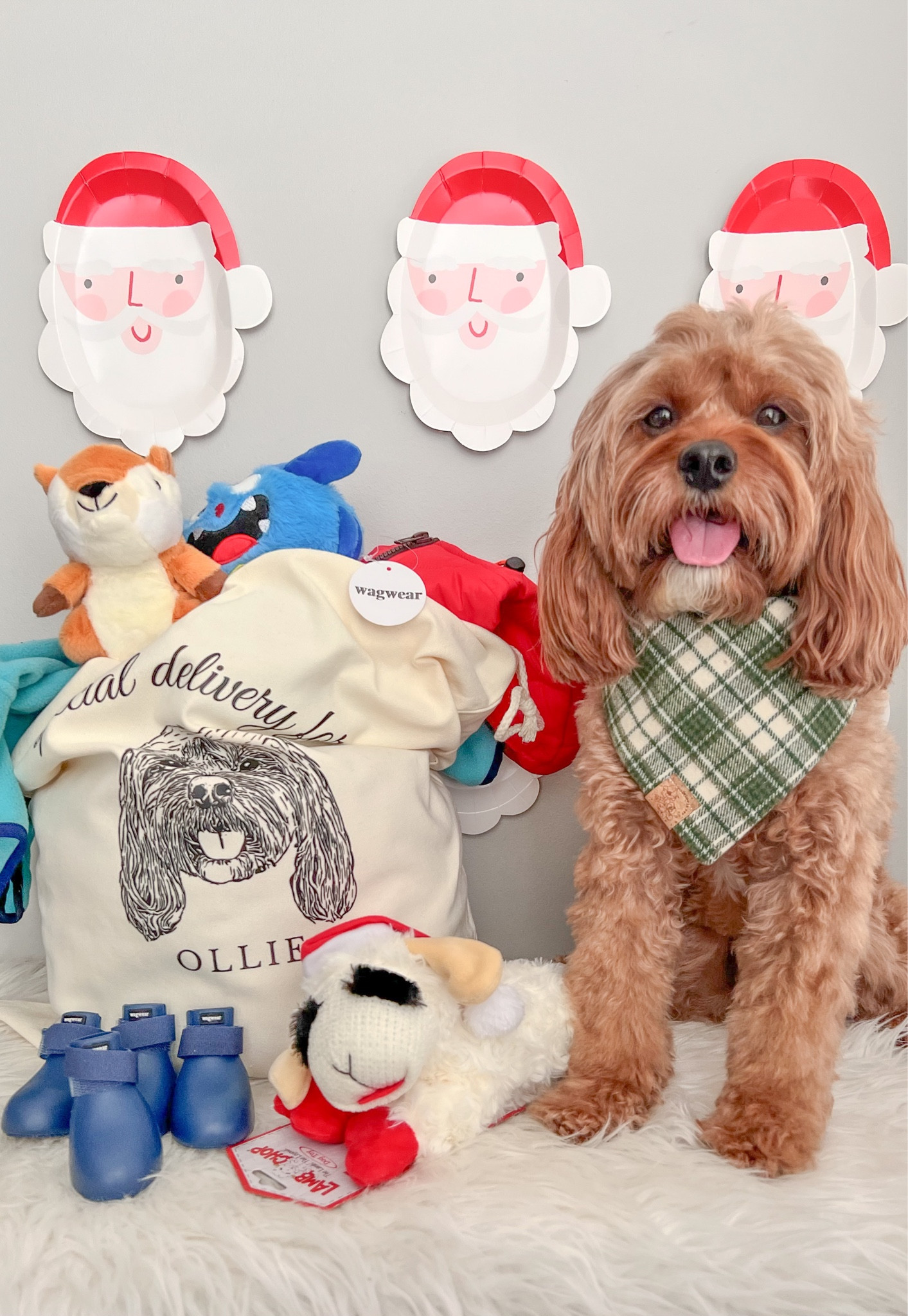Everything Ollie got from Santa Paws this year! Linked everything I could below! Jacket/onesie and boots from @wagwear SITOLLIESIT to save Santa sack from @shopharpermade OLLIE10 to save Goodies box from @wildflowerpup OLLIE10 to save 