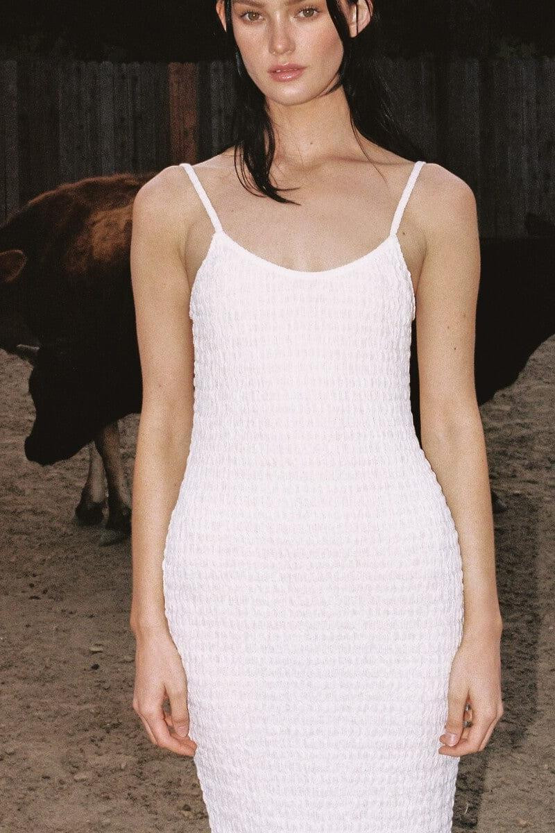 Seychelles Sheeth Dress | Montce