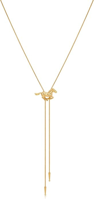 Western Cowgirl Necklace for Women Lariat Long Chain Hat Bull Head Horse Flower Turquoise Y Neckl... | Amazon (US)