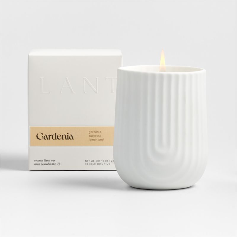 Lanterne Arc Gardenia Candle + Reviews | Crate & Barrel | Crate & Barrel