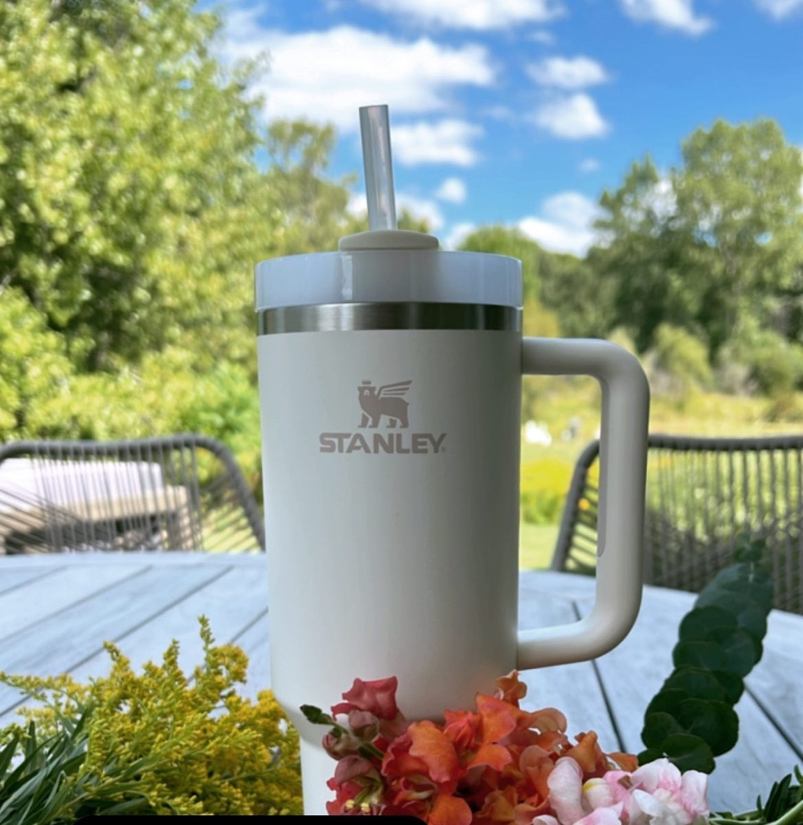 Trying to decide if I'm officially a Stanley fan! 