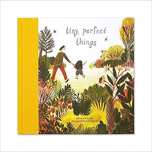 Tiny, Perfect Things     Hardcover – Picture Book, June 1, 2018 | Amazon (US)