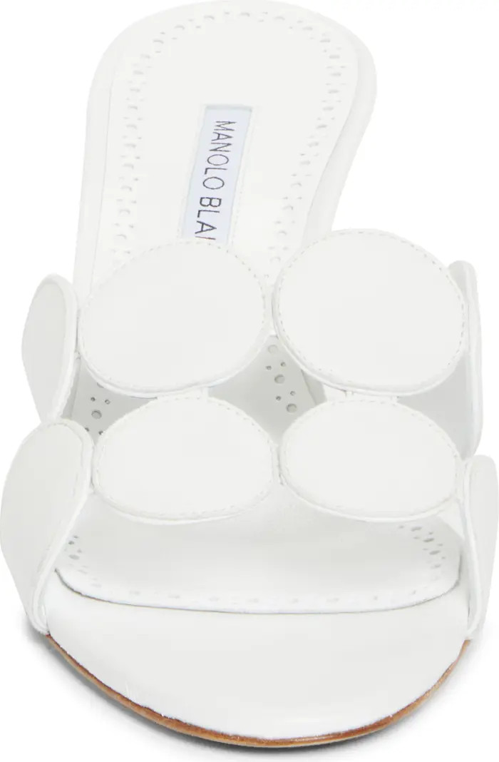 Manolo Blahnik Haribalmu Kitten Heel Sandal (Women) | Nordstrom | Nordstrom