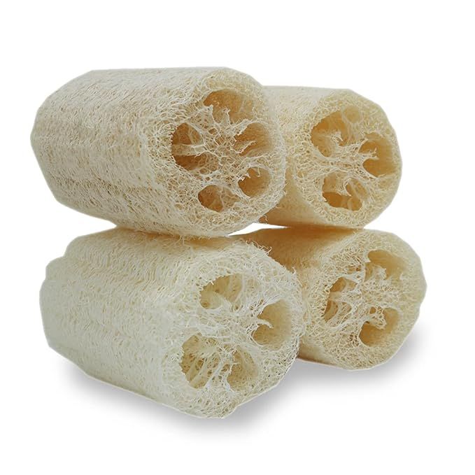 4" Natural Loofah Exfoliating Body Sponge Scrubber for Skin Care in Bath Spa Shower Pack of 4 | Amazon (US)
