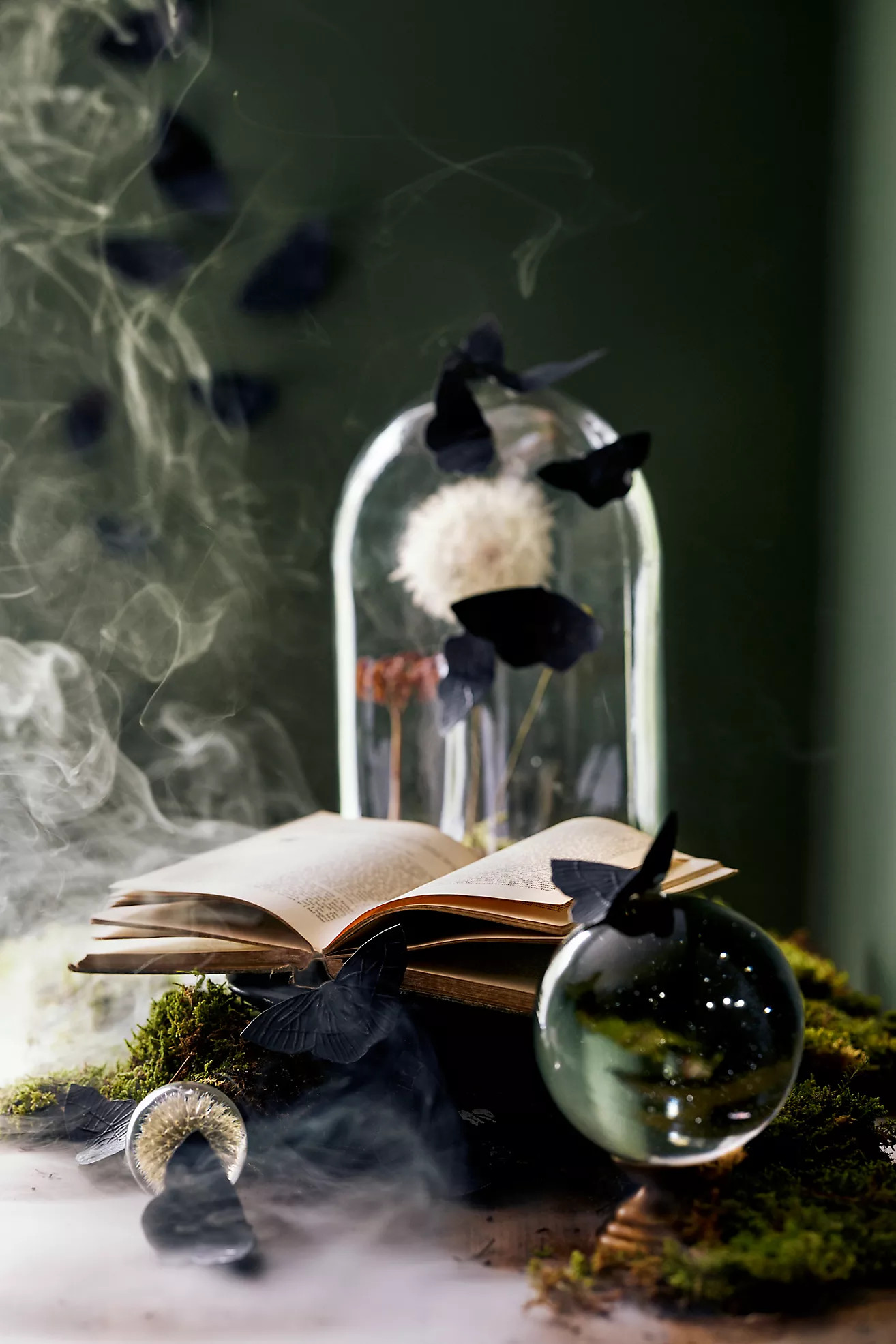 Glass Cloche with Distressed Wood Pedestal Base | Anthropologie (US)