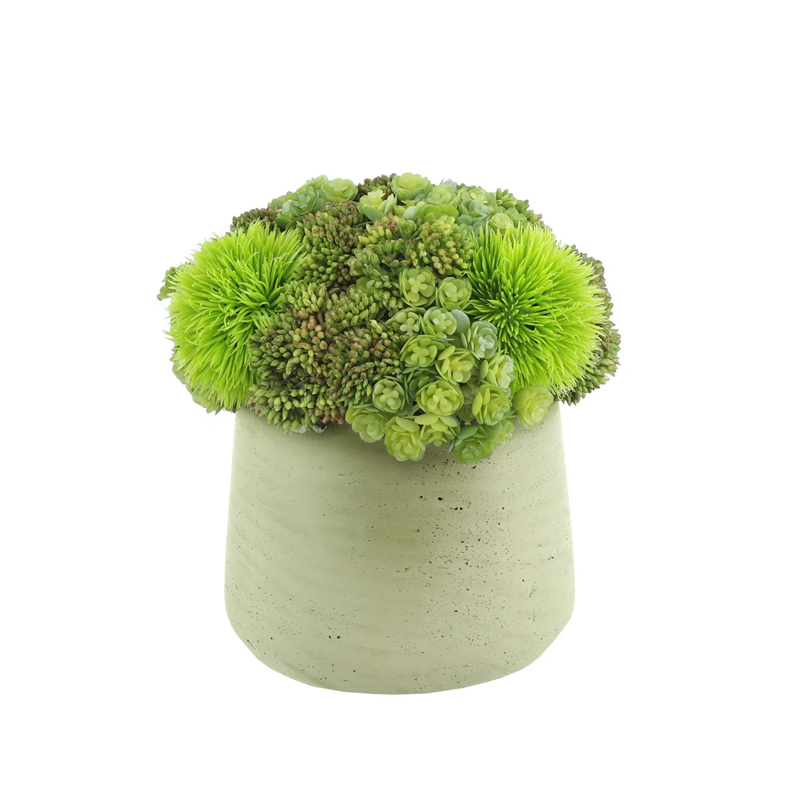 Rizal 7'' Faux Succulent Plant in Fiberstone Pot | Wayfair North America
