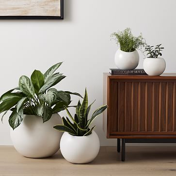 Benton Planters | West Elm (US)
